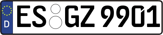 ES-GZ9901
