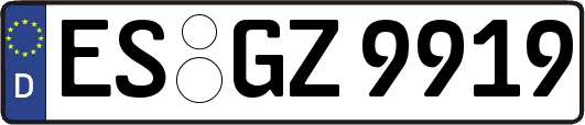 ES-GZ9919