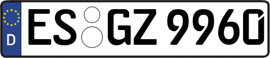 ES-GZ9960