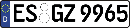 ES-GZ9965