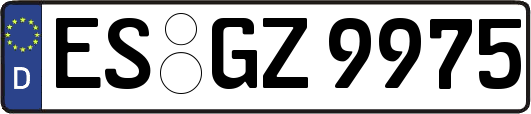 ES-GZ9975