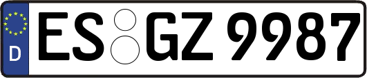 ES-GZ9987