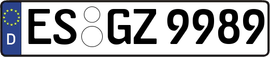 ES-GZ9989