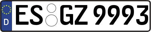 ES-GZ9993