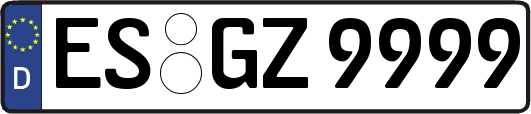 ES-GZ9999