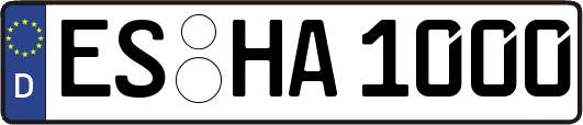 ES-HA1000