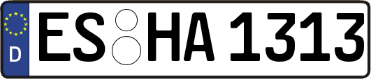 ES-HA1313