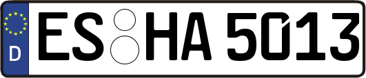 ES-HA5013