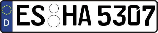 ES-HA5307