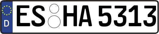 ES-HA5313