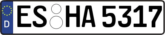 ES-HA5317
