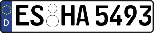 ES-HA5493