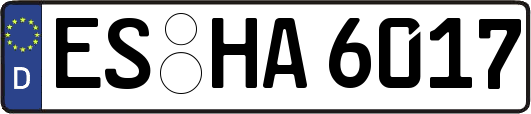 ES-HA6017