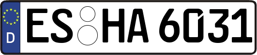 ES-HA6031
