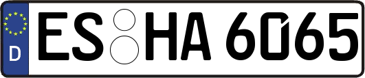 ES-HA6065