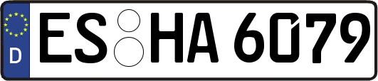 ES-HA6079