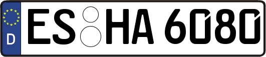 ES-HA6080