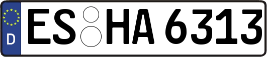 ES-HA6313