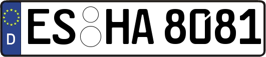 ES-HA8081