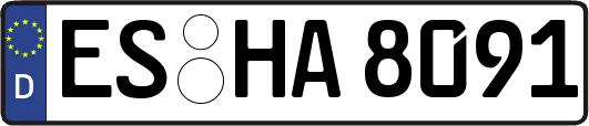 ES-HA8091