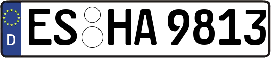 ES-HA9813