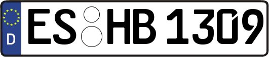 ES-HB1309