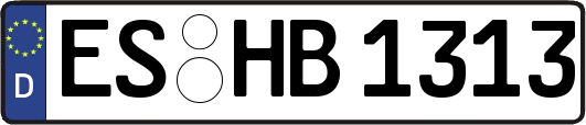 ES-HB1313