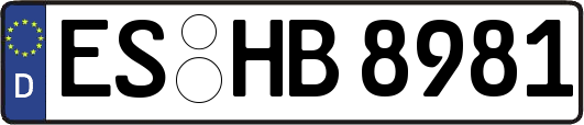 ES-HB8981