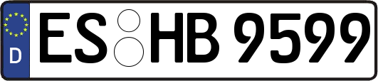 ES-HB9599