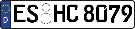 ES-HC8079