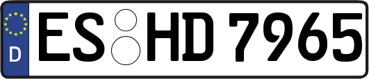 ES-HD7965