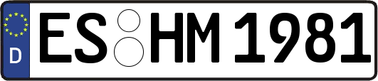 ES-HM1981