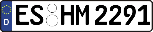 ES-HM2291
