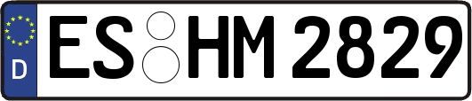 ES-HM2829