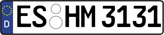 ES-HM3131