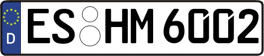ES-HM6002