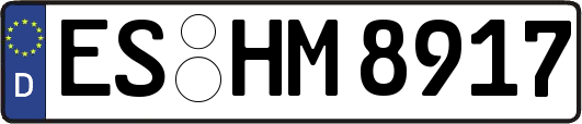 ES-HM8917