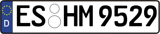 ES-HM9529