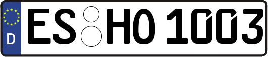 ES-HO1003