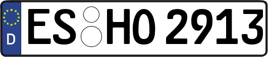 ES-HO2913