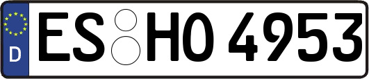 ES-HO4953