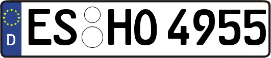 ES-HO4955