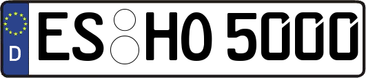 ES-HO5000