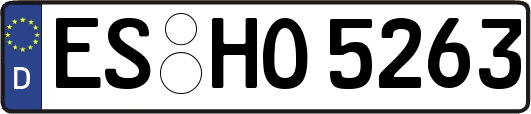 ES-HO5263