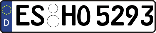 ES-HO5293