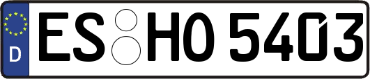 ES-HO5403