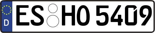 ES-HO5409
