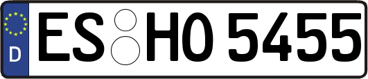 ES-HO5455