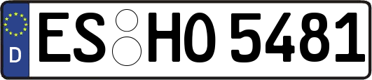 ES-HO5481