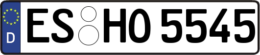 ES-HO5545
